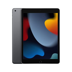 Apple 2021 10.2-inch (25.91 cm) iPad with A13 Bionic chip (Wi-Fi, 256GB) - Space Grey (9th Generation)