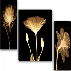 WALLMAX Set of 3 Flower UV Coated Home Decorative Wall Painting For Living Room 12 Inch x 18 Inch Paintings WAG-JM70147 ,multicolor