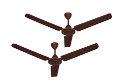 Kenstar Fan Flash 70Watt Pack of 2 (Brown)