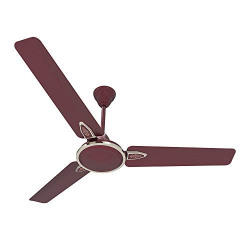 Crompton Highspeed Rubio Decorative Ceiling Fan - 1200 mm (Red Wine)