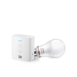 Echo Flex combo with Philips 9W LED smart color bulb