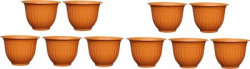 Picvel Premium Plastic 10 Inches Flower Pots Gardening Planter Set Plant Container Set(Pack of 10, Plastic)