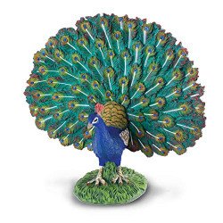 CollectA Farm Life Peacock Toy Figure - Authentic Hand Painted Model