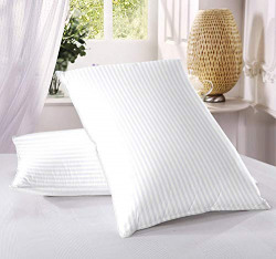 Proliva Standard Pillow Microfiber Soft Pillows for Bed, 100% Breathable Cotton Sleeping Pillows, Great for Side and Back Support Pillow (Set of 2)