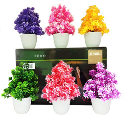 AKP Artificial Flower with Pot for Home & Office Decoration Purposes (6 Set Mix Color)