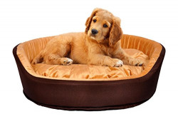 Slatters Be Royal Store Round Shape Reversable Soft Ethnic Designer Velvet Bed (S, Golden)