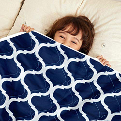 Divine Casa Microfiber All Weather 120 GSM Reversible Single Bed Comforter/Blanket for Winter/Quilt/AC Dohar Suitable for Toodler/Infants Upto 5 Years (135X100 cm, Dark Blue and Grey)