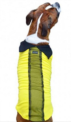 Kitty & The Woof Gang Baby Yellow T-Shirt/Tees for Dog Clothes Summer Apparel | Dog Summer T-Shirt | T-Shirt for Dog | Please Check The Size Chart Before Ordering | Size XS
