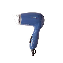 GeorgiaUSA GD-101-Blue Styling Hair Dryer With 2 Speed Settings (1000 Watts)