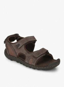 WOODLAND Men Brown Casual