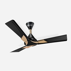 Orient Electric Wendy 1200mm ceiling fan (Metallic Black-Gold)