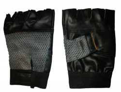 Gym Gloves starts from 68