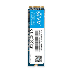 EVM 256GB M.2 (2280) SATA Internal SSD - 530MB/s Read & 420MB/s Write - 5-Year Warranty (EVMM2/256GB)