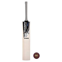 TRIUMPH DYNAMO ENGLISH WILLOW PROFESSIONAL CRICKET needs upto 80% off
