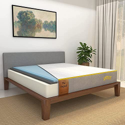 SleepyCat Original Ortho 3-Layered Medium Firm 6-inch Memory Foam Mattress with Bamboo Cover (Queen Size, 78x60x6 inches)