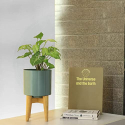 TrustBasket Coral Mid Century Stand with Pot for Indoor Plants & Flowers | Matte Finish | Home Decor Planter for Living Room | Rust-Free Metal Planter
