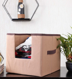 Brige Solid Polypropylene Foldable Cloth Organiser