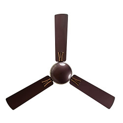 RR Signature Ceiling Fan For Home 