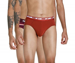 Puma Men's Cotton Classic Regular Solid Briefs (Pack of 2) (67648301_Grape Wine-Chili Oil_L)