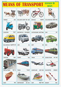 Vehicles Chart For Kids | 70x100 cm (Extra Large Size to attract Kids) | Non-Tearable and Waterproof | Perfect For Homeschooling, Kindergarten and Nursery Students