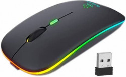 RPM Euro Games Wireless Gaming Mouse | Rechargeable Battery | Upto 2400 DPI | Silent Clicks Wireless Optical  Gaming Mouse(2.4GHz Wireless, Black)