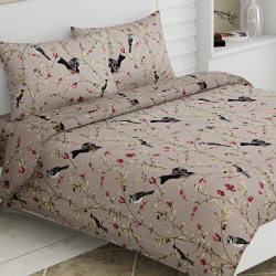 haus & kinder Greek Garden Romance 100% Cotton Double Bedsheet with 2 Pillow Covers King Size, 186 TC, Size 108 inch x 108 inch (Beige)