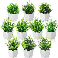 Dekorly Artificial Potted Plants, Pack of 10 