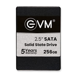 EVM 256GB 2.5-Inch SATA Internal SSD - 550MB/s Read & 500MB/s Write - 5-Year Warranty (EVM25/256GB)