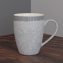 The Earth Store Grey Fizz Coffee Mug Set of 1 Ceramic Mugs to Gift to Best Friend, Tea Mugs, Microwave Safe Coffee Mugs, Ceramic Tea Cups (280 ml Each)