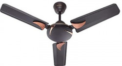 Candes Arena 900 mm Anti Dust 3 Blade Ceiling Fan(Coffee Brown, Pack of 1)