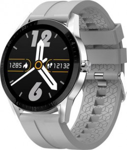 Fire-Boltt Talk Bluetooth Calling Smart Watch with SpO2, Metal Body & Luxury Design Smartwatch (Grey Strap, 46)
