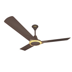 RR Signature Jaipur Amer Ceiling Fan With 40% Energy Savings, High Speed Designer Ceiling Fan for Home, Ale Brown (3 + 2 Year Warranty