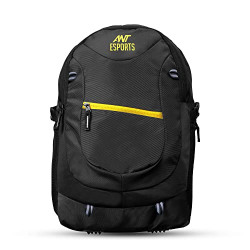 Ant Esports Knight Cobra 23, Large 38L Stylish unisex backpack with USB Charging Port, Earphone/Headphone Port, with rain protection cover and reflective strip, fits upto 17" Laptop- Gun Black