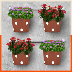 Patio by Bathla - RUI Hanging Metal Pot Holders/Planters for Balcony/Garden |Corrosion Resistant with Detachable Double Hooks | Terra - Set of 4
