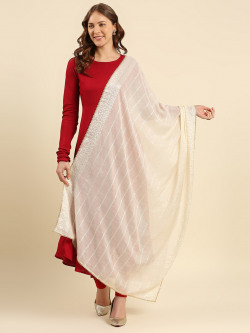 Dupatta Bazaar Women Dupatta with Sequinned