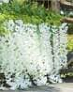 Set of 6 Wisteria Artificial Hanging Flowers
