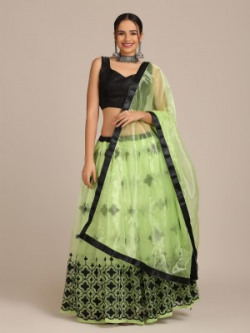 atsevam Embroidered Semi Stitched Lehenga Choli(Light Green)