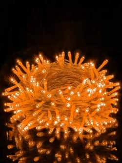 Ascension Orange 40 LED Bulbs String Lights