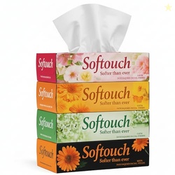 Softouch 2 Ply Facial Tissue Box | Car Tissue - Pack of 4 (100 Pulls P
