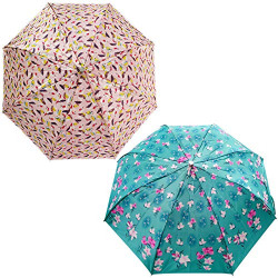 RAINPOPSON Umbrella for Women | Umbrella for Men | 2 fold Umbrella | Umbrella Combo Offer Set of 2 | Umbrella for Girls (Multicolour) - Set of 2