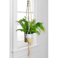 ecofynd Macrame Plant Hanger, Cotton Rope Flower Pot Holder for Indoor Outdoor Balcony Garden Wall, Boho Home Decor Basket Hanger, Ivory, 39 inches, Pack of 1