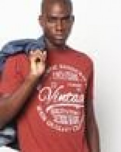 Regular Fit Typographic Print Crew-Neck T-Shirt
