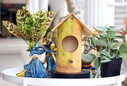 Safest Bamboo Organic Bird NEST Purely Handmade Sparrow/Small Birds, Material Type Real Bamboo Size Medium | Bamboo Bird Houses for Eco-Friendly Birding