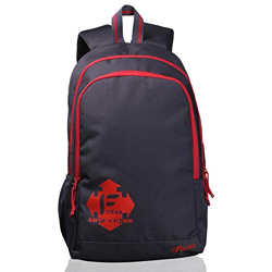 F Gear Castle 22L Backpack Daypack2 Compartments lightweight Organizer Bottle Holder Padded Shoulder Strap For Boys Girls Adults Casual College School Corporate Office Travel Bag (Grey Red)