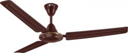Orient 3 Blade Ceiling Fan Starts at Rs.1199