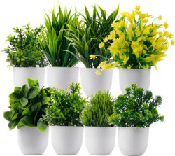 Ryme Set Of 8 Mini Pot (Pack of 8)