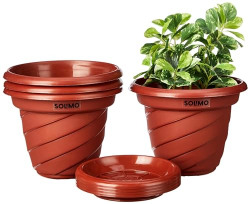 Amazon Brand - Solimo Flower Pots (Set of 4)