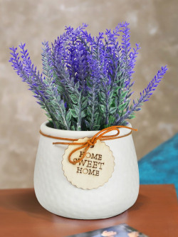 TIED RIBBONS Purple  Flowers and Plants With Pot