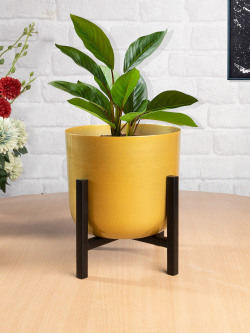 Homesake Black & Yellow Metal Pot Planter