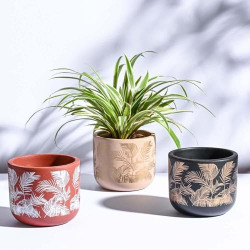 UGAOO Sienna Terracotta Indoor Pot for Plant - Aesthetic, Durable, Premium Planter for Home Dcor (Set of 3)